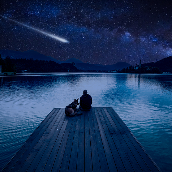 saw a shooting star